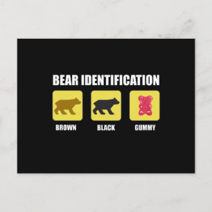 Bear Identification Funny Vykort