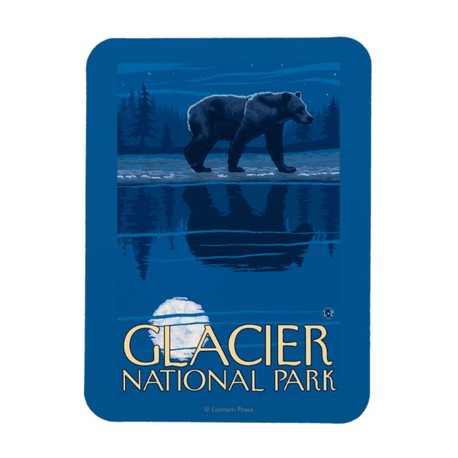 Bear in Moonlight - Glacier National Park, MT Magnet (Vertikal)