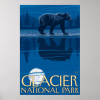 Bear in Moonlight - Glacier National Park, MT