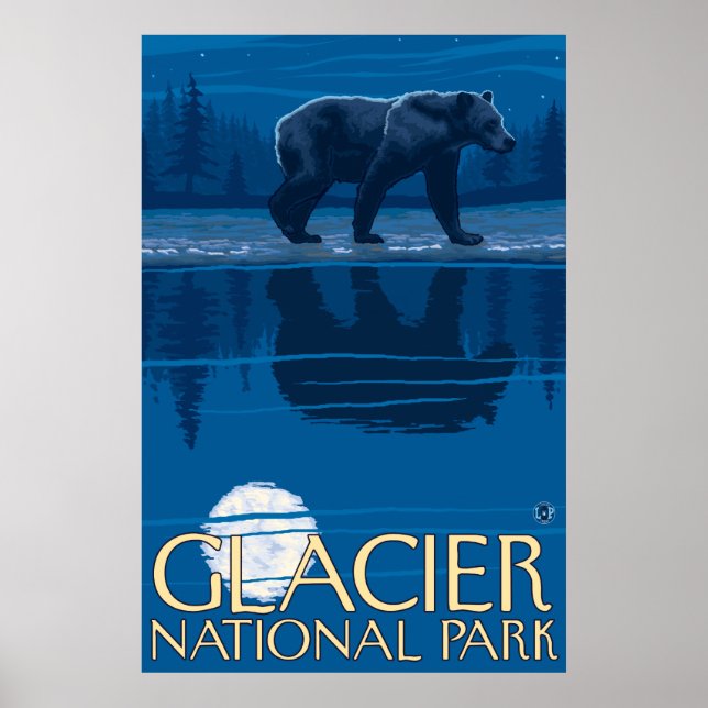 Bear in Moonlight - Glacier National Park, MT Poster (Framsidan)