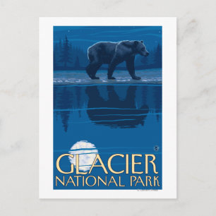 Bear in Moonlight - Glacier National Park, MT Vykort