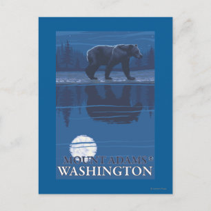 Bear in Moonlight - Mount Adams, Washington Vykort