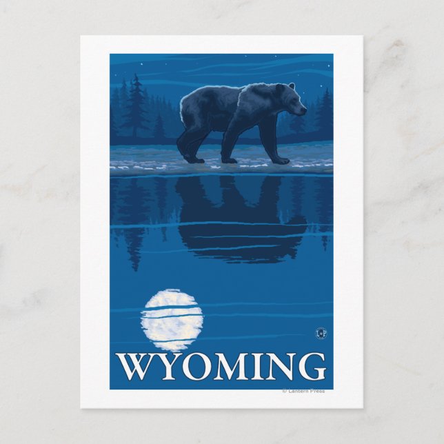 Bear in Moonlight - Wyoming Vykort (Framsida)