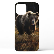 Bear iPhone 12 Fodral