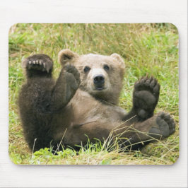 Bear_Kodiak_NWR-gåvor Musmatta