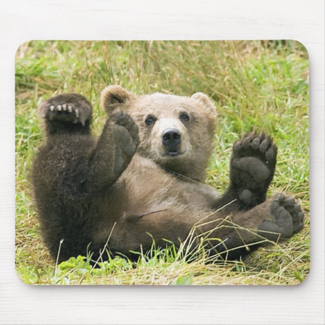 Bear_Kodiak_NWR-gåvor Musmatta (Framsidan)