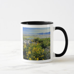 BEAR LAKE, UT, USA, apanflora & riddarbuske, Mugg