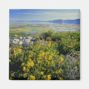 BEAR LAKE, UT, USA, apomikta & rullebuske, Magnet