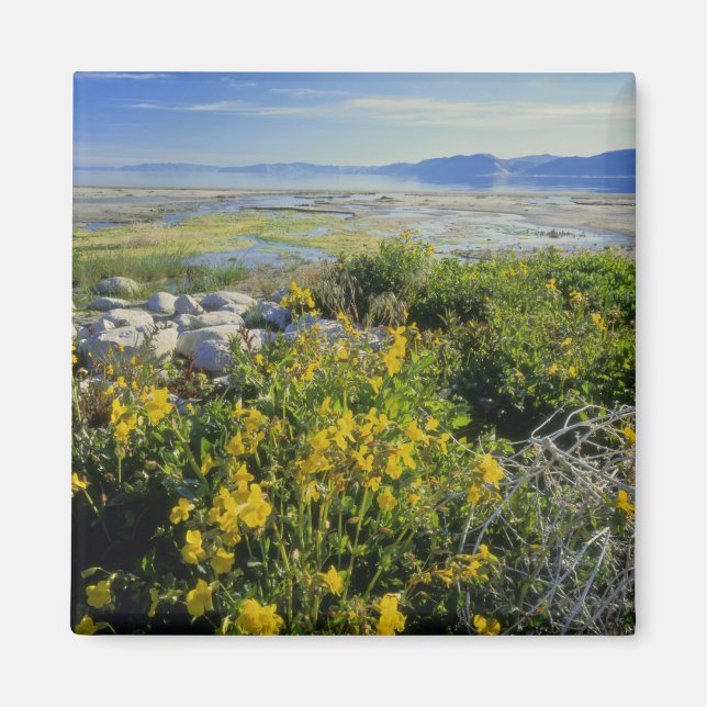 BEAR LAKE, UT, USA, apomikta & rullebuske, Magnet (Framsidan)