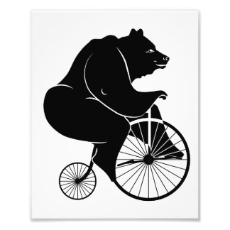 Bear Riding a Vintage Penny Farthing Bicycle Fototryck