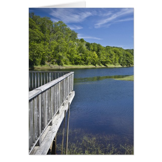 Bear River, NS Hälsningskort (Framsidan)