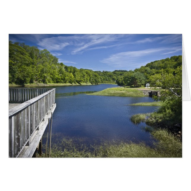 Bear River, NS Hälsningskort (Framsidan Horizontal)
