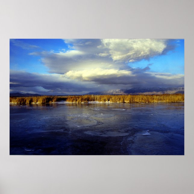 Bear River Poster (Framsidan)