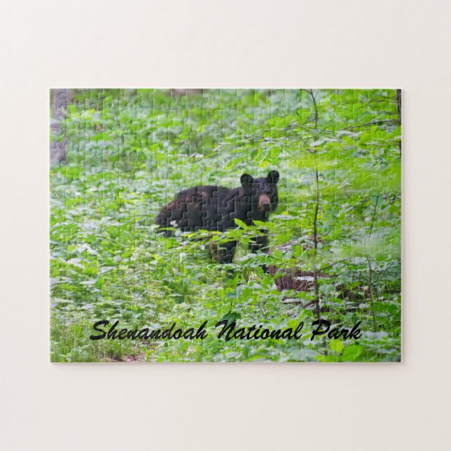 Bear - Shenandoah National Park Pussel (Horisontell)