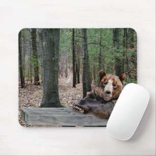 Bear Sitta vid Picnic Bord Musmatta