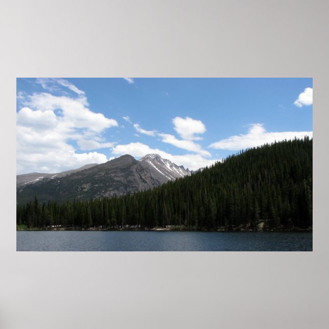 Bear sjö poster (Framsidan)