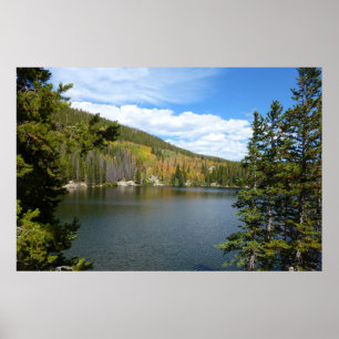 Bear Sjö vid Rocky Mountain National Park Poster