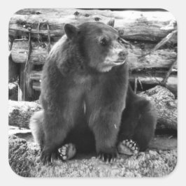 Bear Sticker Fyrkantigt Klistermärke
