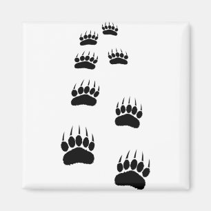 Bear Tass avtryck Magnet