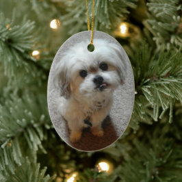 Bear the Malshi Oval jul Ornament