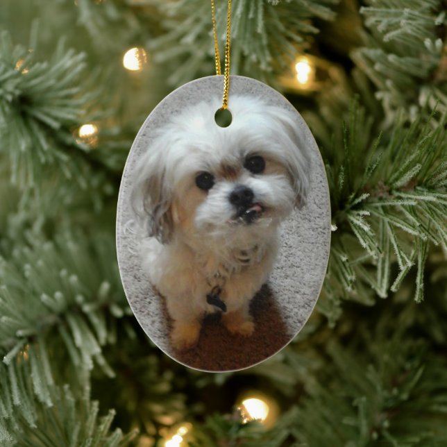 Bear the Malshi Oval jul Ornament (Träd)