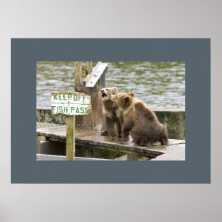 Bear Unge Keepsaki Memorials Kärlek Destiny Destin Poster