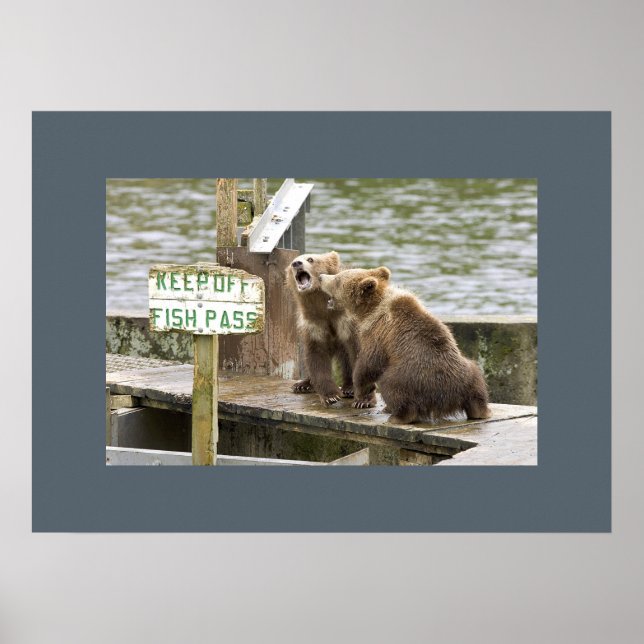 Bear Unge Keepsaki Memorials Kärlek Destiny Destin Poster (Framsidan)