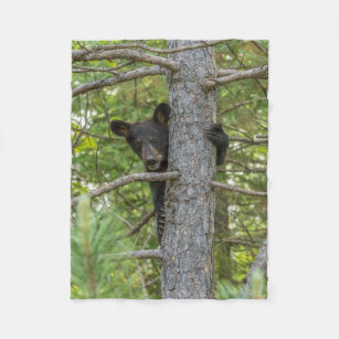 Bear Unge klättrar Träd Fleecefilt