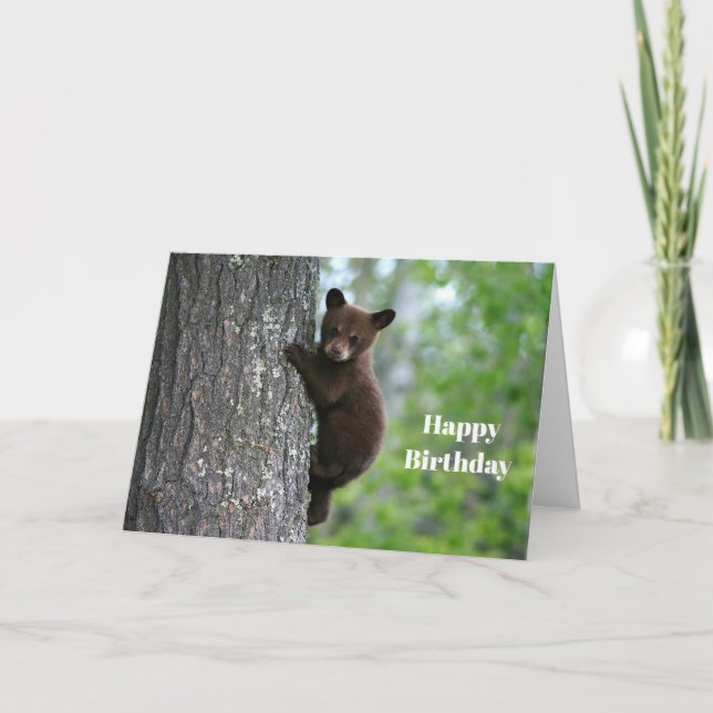 Bear Unge Träd fotfoto Birthday Kort (Framsida)