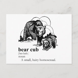 BEAR UNGE VYKORT
