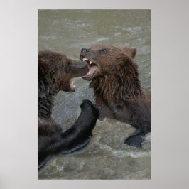 Bear Vatten Fight Poster