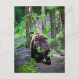 Bear Walking-out i Skogen-skogen Vykort