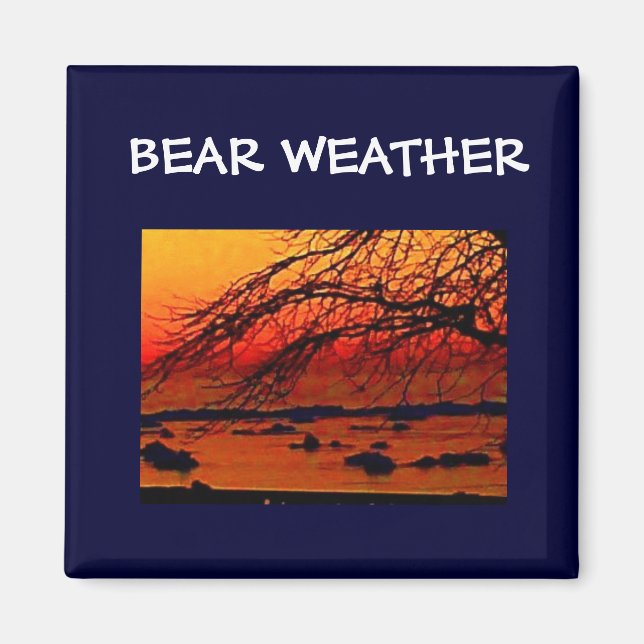 BEAR WEATHER MAGNET (Framsidan)