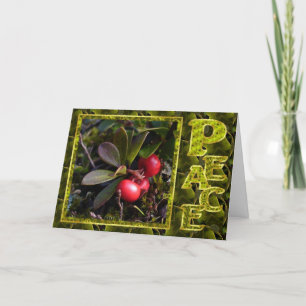 Bearberryjul, Unalaska Alaska Helgkort