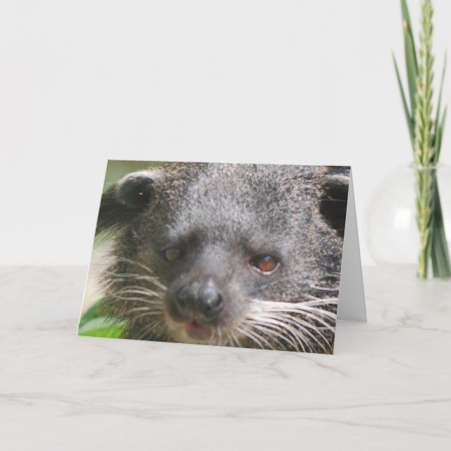 Bearcat-hälsningskort Kort (Framsida)