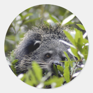 Bearcat Stickers Runt Klistermärke