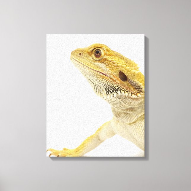 Beardad drake (Pogona Vitticeps) Canvastryck (Framsida)