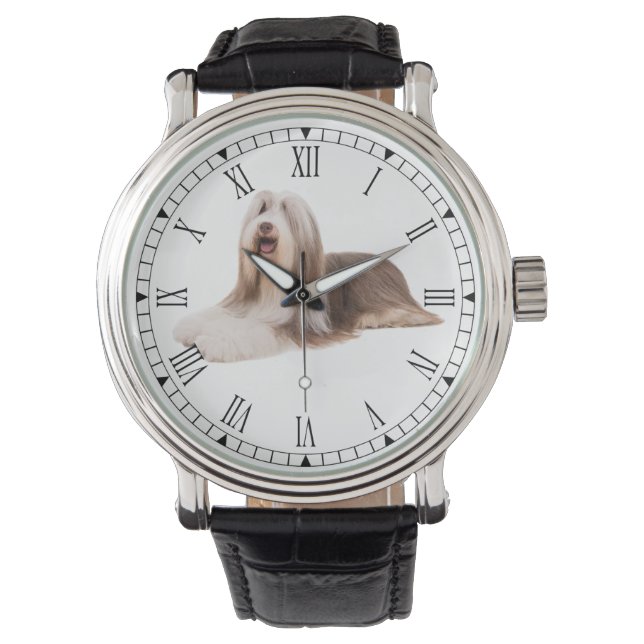 Bearded Collie Armbandsur (Framsida)