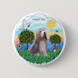 Bearded collie (brun-vit) knapp