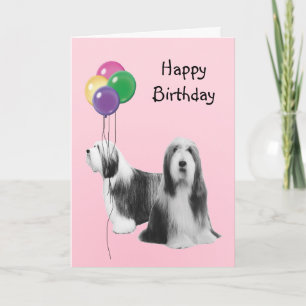 Bearded Collie, födelsedagsballonger Kort