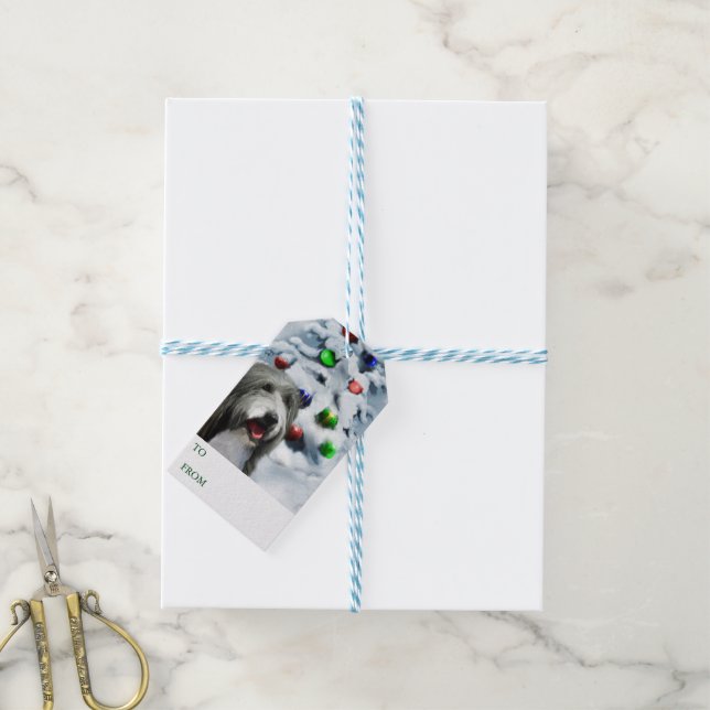 Bearded Collie Gift-Märkre Presentetikett (Med Snöre)