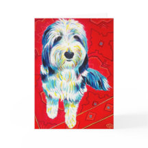 Bearded Collie Greeting Card, kuvert medföljer