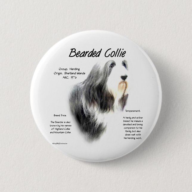 Bearded Collie History; Kärlek Bearded Collies Knapp (Framsida)