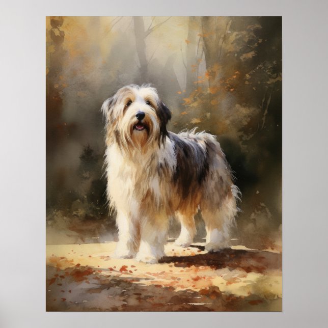 Bearded Collie Hund Art Print Poster (Framsidan)