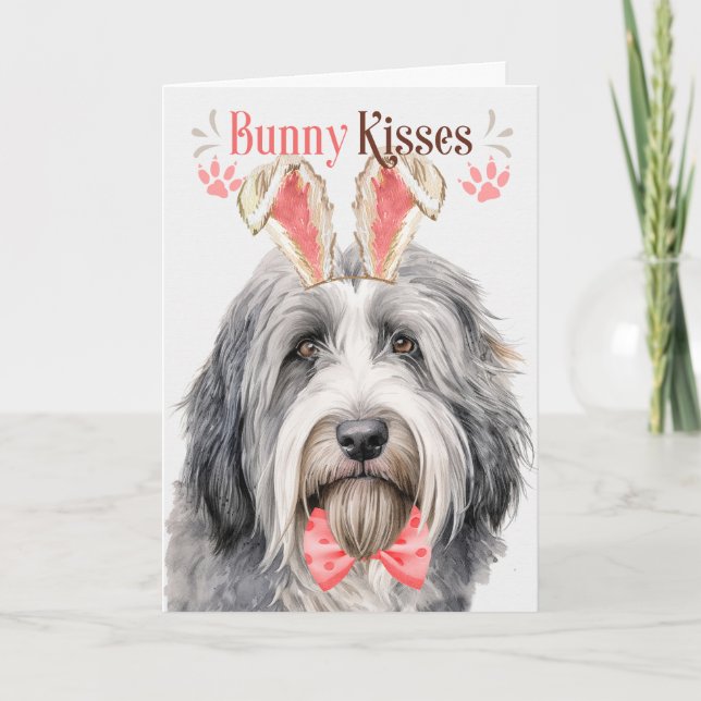 Bearded Collie Hund i Bunny Öron för Påsk Helgkort (Framsida)