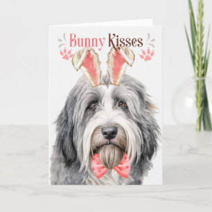 Bearded Collie Hund i Bunny Öron för Påsk Helgkort