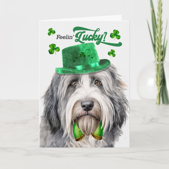 Bearded Collie Hund Lucky St patrick's day Helgkort (Framsida)