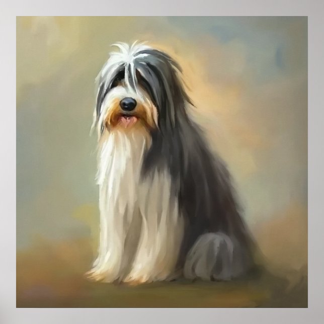 Bearded Collie Hund Poster (Framsidan)