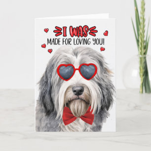 Bearded Collie Hund tillverkad för att övertala di Helgkort