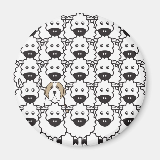 Bearded Collie i får Magnet (Framsidan)